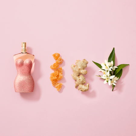 JEAN PAUL GAULTIER CLASSIQUE PIN UP EDP 100ML - opaque