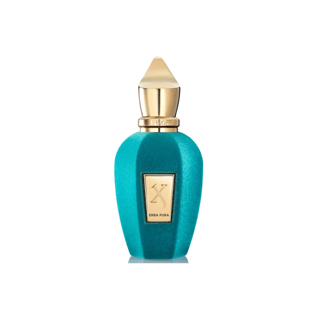 XERJ-05-000010 XERJ-05-000010