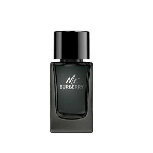 MR BURBERRY EDP 100ML