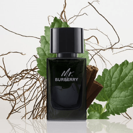 【箱無し、未使用】BURBERRYミスター バーバリー EDP 100ml MR BURBERRY EDP 100ML - opaque