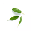 GIOR-05-000152-4
