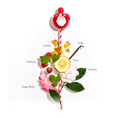 NINA-05-000070-4