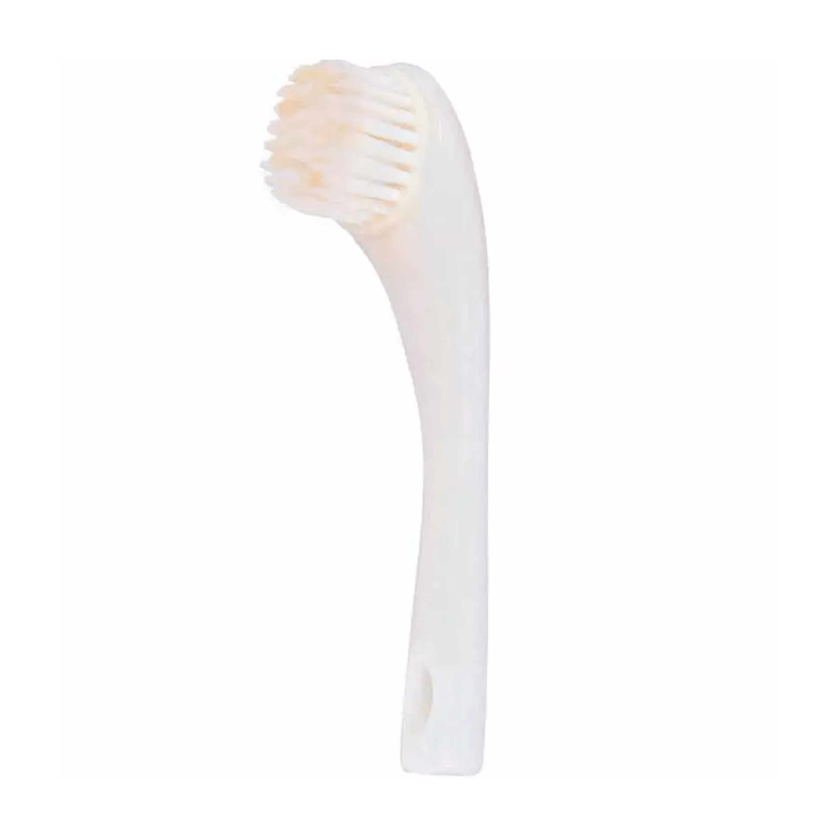 SHISEIDO ESSENTIALS CLEANSING MASSAGE BRUSH