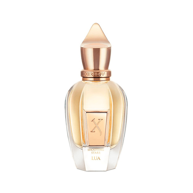 XERJ-05-000008 XERJ-05-000008