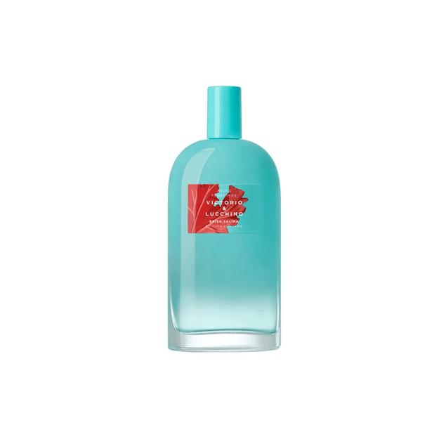 VILU-05-000021 VILU-05-000021