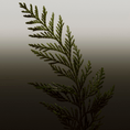 BURB-05-000150-4