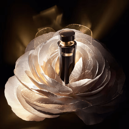 LANCOME ABSOLU L EXTRAIT LOTION NEW - opaque