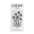 LOEW-05-000056-2