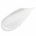 SISL-08-000149-2.png