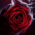 BVLG-05-000192-3.png