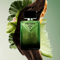 PRAD-05-000146-3.png