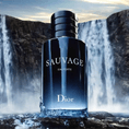 DIOR-05-000307-3.png