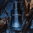 DIOR-05-000307-4.png