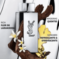 YSL-05-000144-4.png