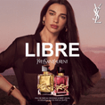 YSL-05-000148-3.png