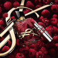 YSL-05-000147-4.png