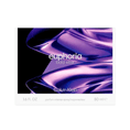CALV-05-000250-2.png