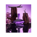 CALV-05-000250-3.png
