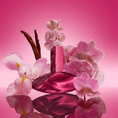 CALV-05-000255-2.png